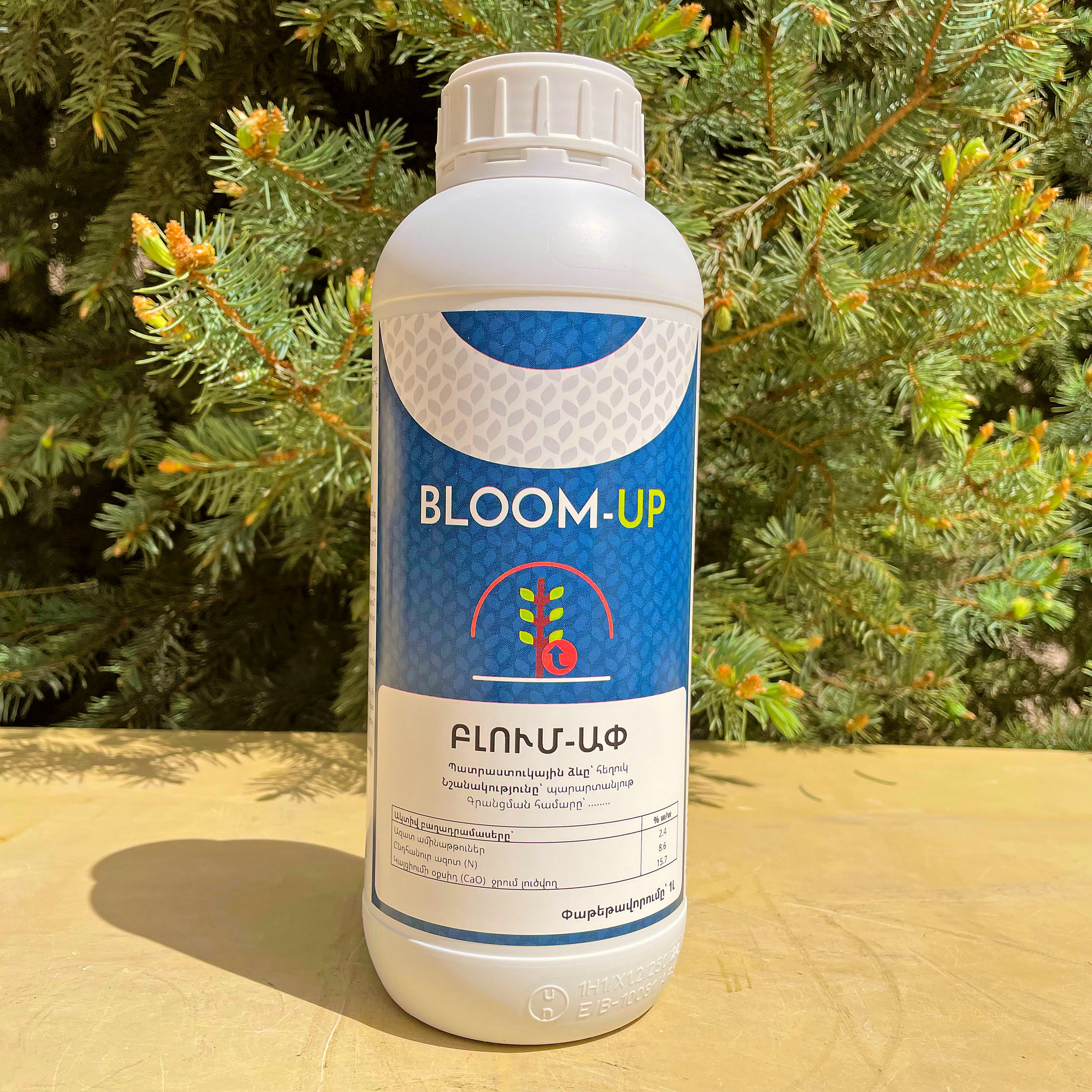 BLOOM-UP